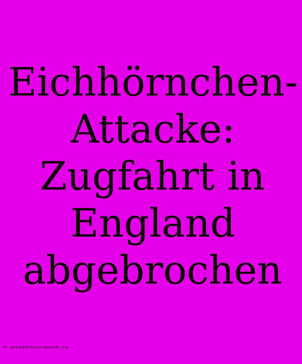 Eichhörnchen-Attacke: Zugfahrt In England Abgebrochen