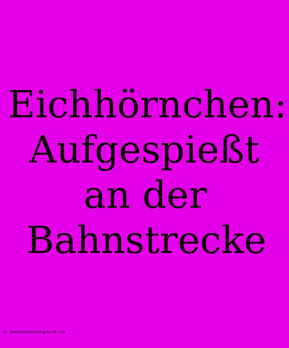 Eichhörnchen: Aufgespießt An Der Bahnstrecke