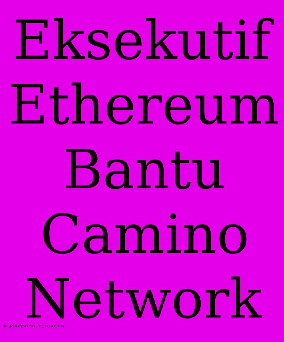 Eksekutif Ethereum Bantu Camino Network