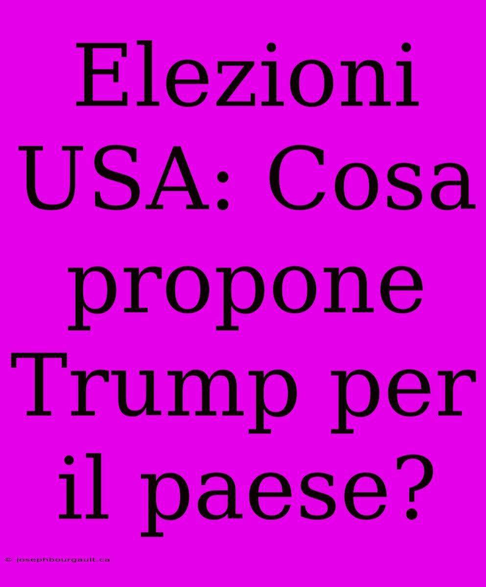 Elezioni USA: Cosa Propone Trump Per Il Paese?