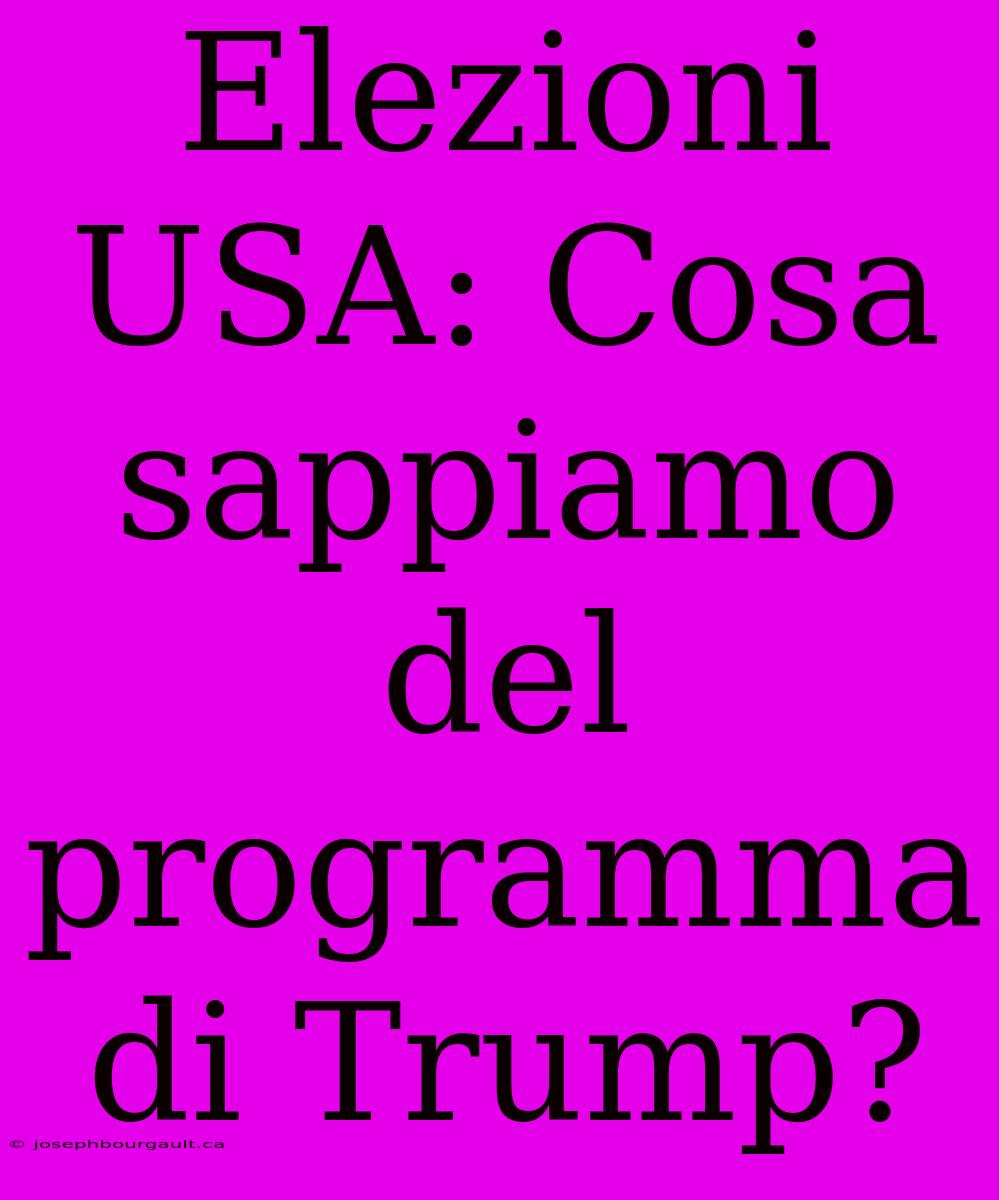 Elezioni USA: Cosa Sappiamo Del Programma Di Trump?