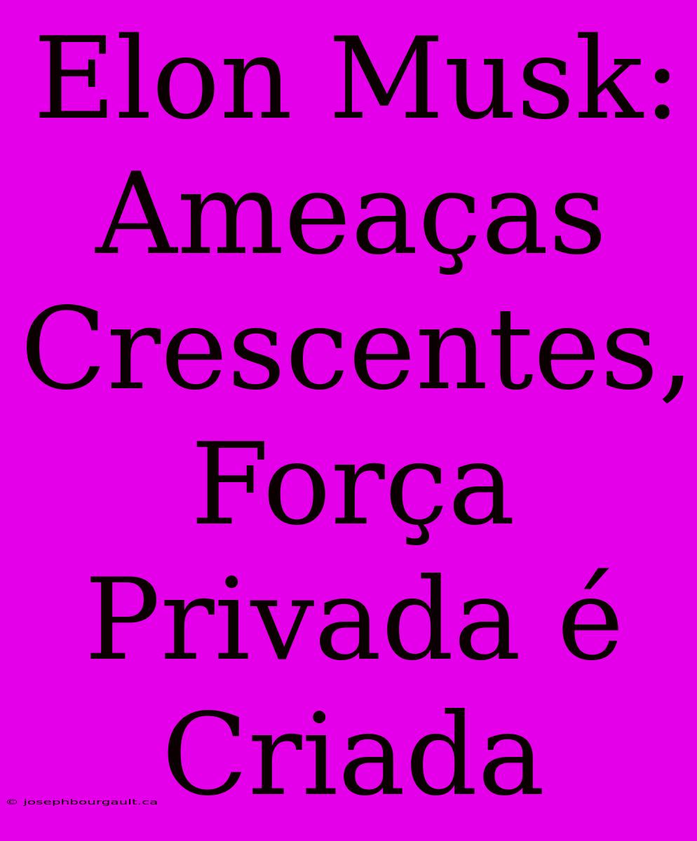 Elon Musk: Ameaças Crescentes, Força Privada É Criada