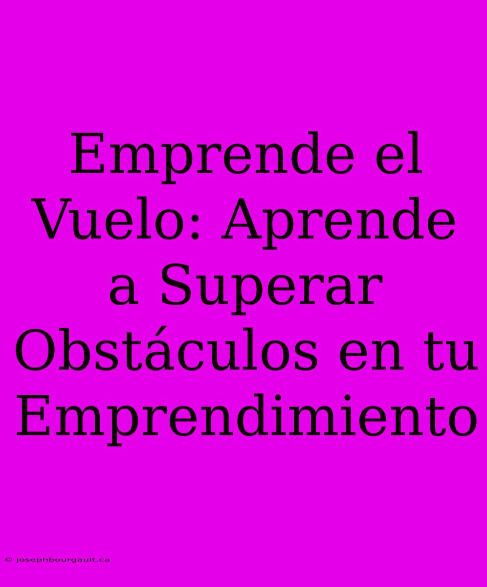 Emprende El Vuelo: Aprende A Superar Obstáculos En Tu Emprendimiento