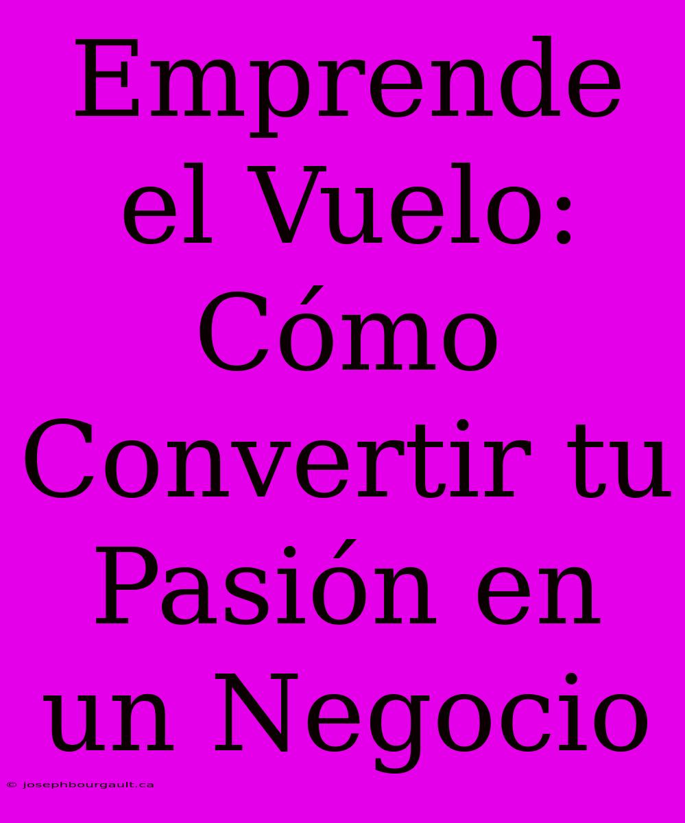 Emprende El Vuelo: Cómo Convertir Tu Pasión En Un Negocio