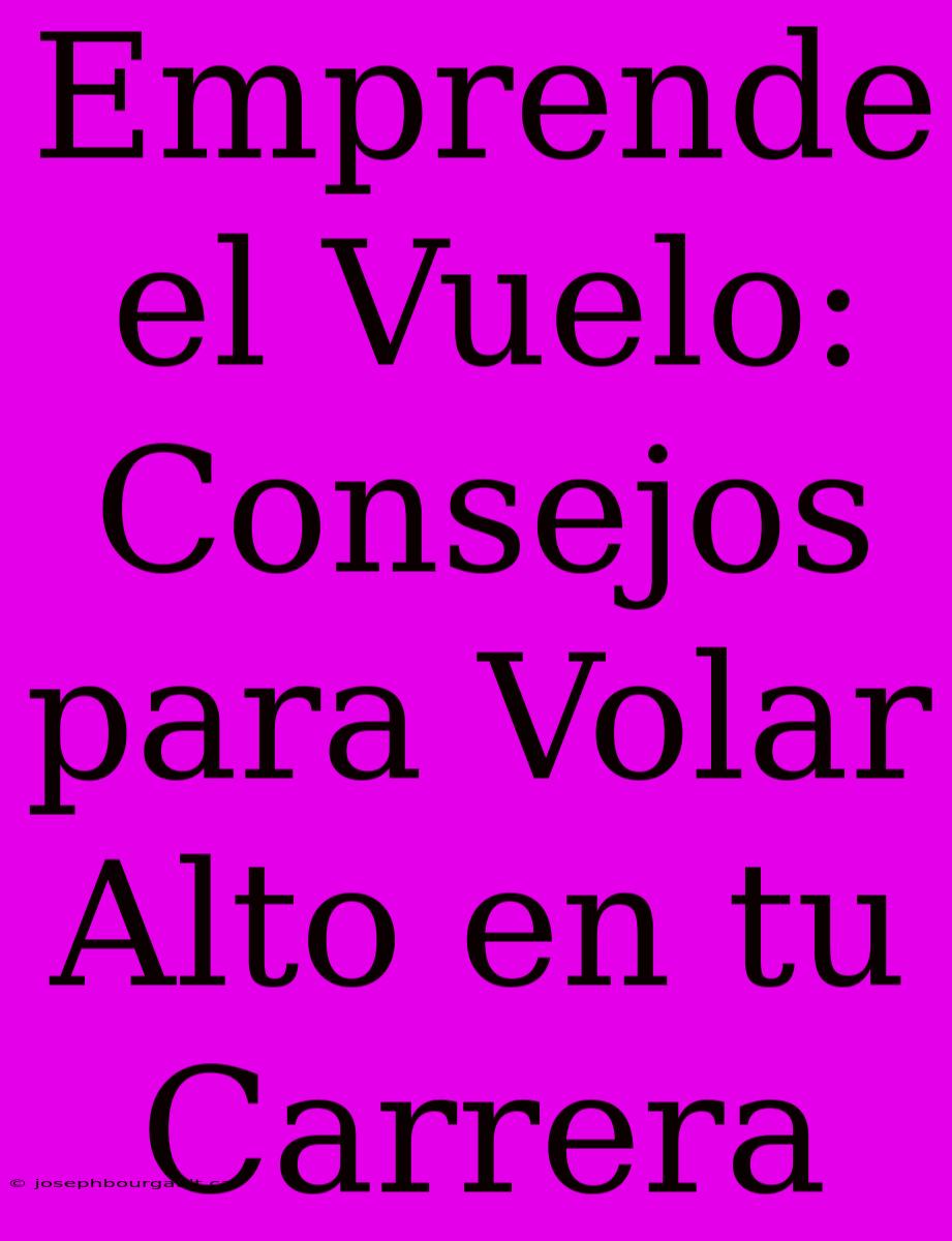 Emprende El Vuelo: Consejos Para Volar Alto En Tu Carrera