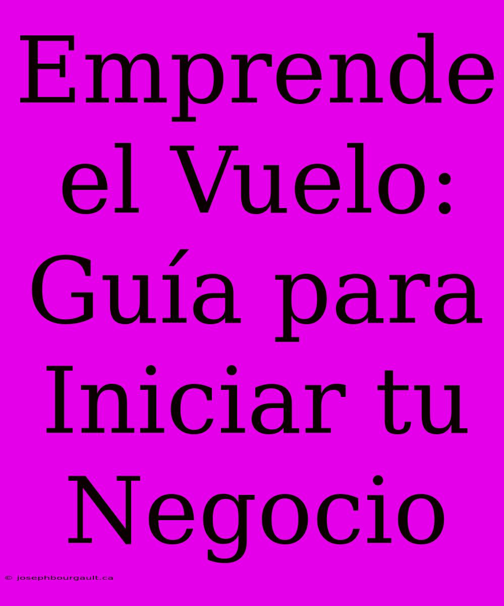 Emprende El Vuelo: Guía Para Iniciar Tu Negocio