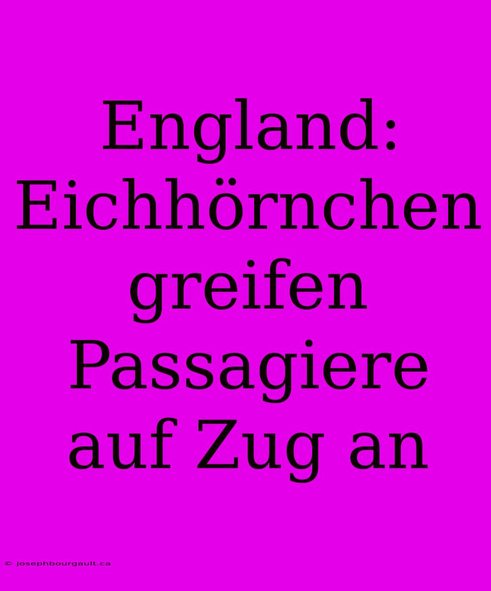 England: Eichhörnchen Greifen Passagiere Auf Zug An