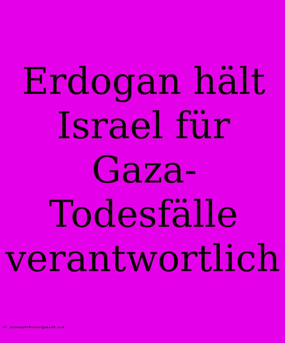 Erdogan Hält Israel Für Gaza-Todesfälle Verantwortlich