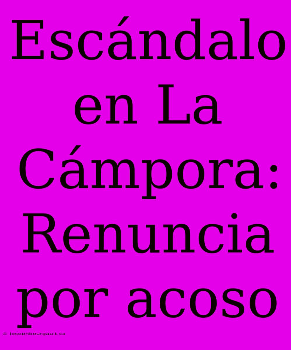 Escándalo En La Cámpora: Renuncia Por Acoso