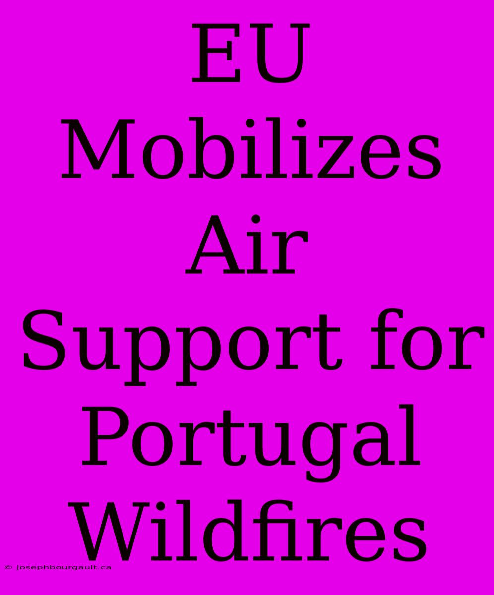 EU Mobilizes Air Support For Portugal Wildfires