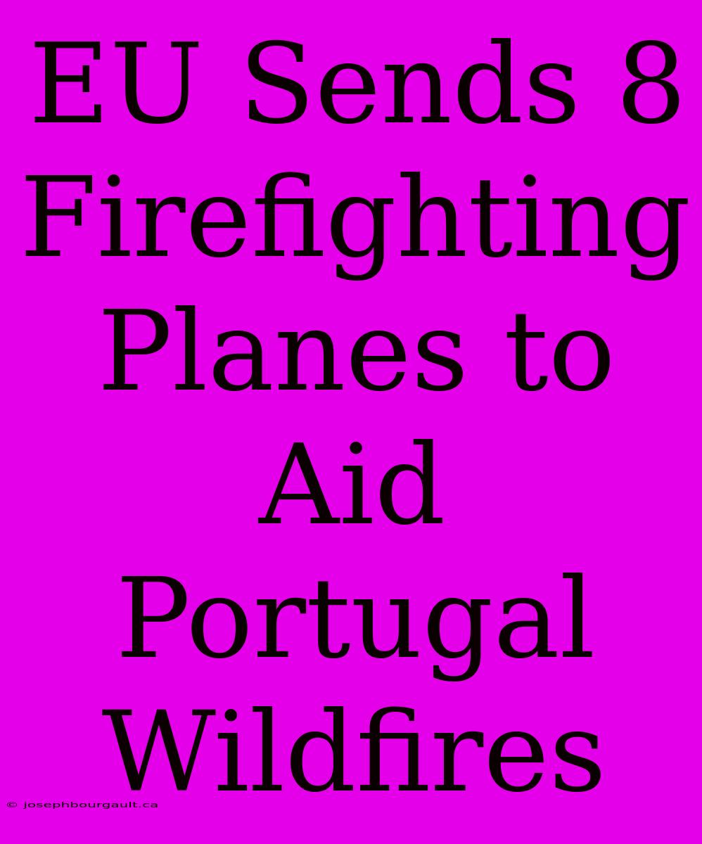 EU Sends 8 Firefighting Planes To Aid Portugal Wildfires