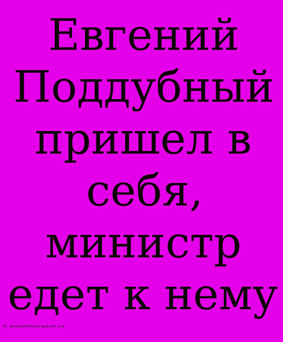 Евгений Поддубный Пришел В Себя, Министр Едет К Нему