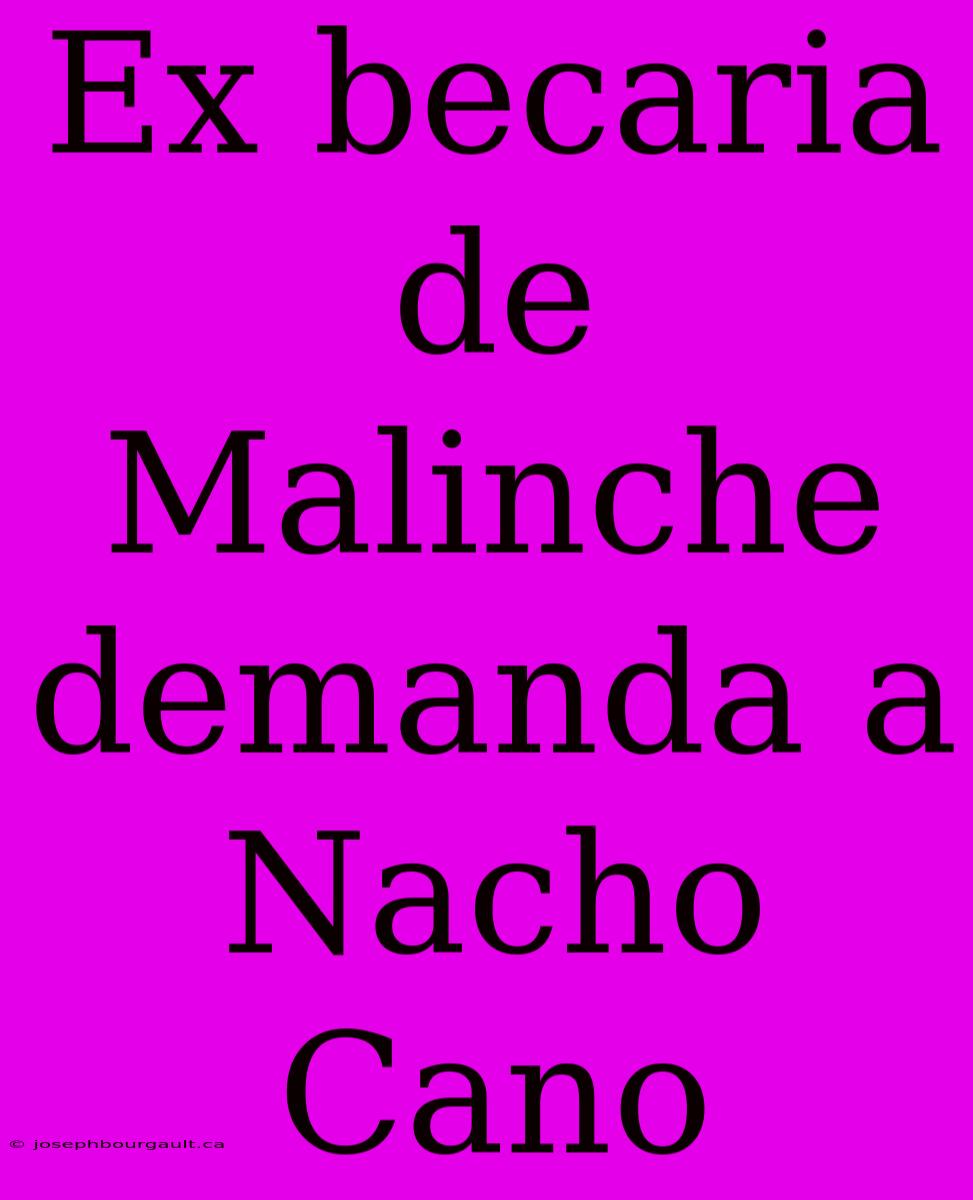 Ex Becaria De Malinche Demanda A Nacho Cano