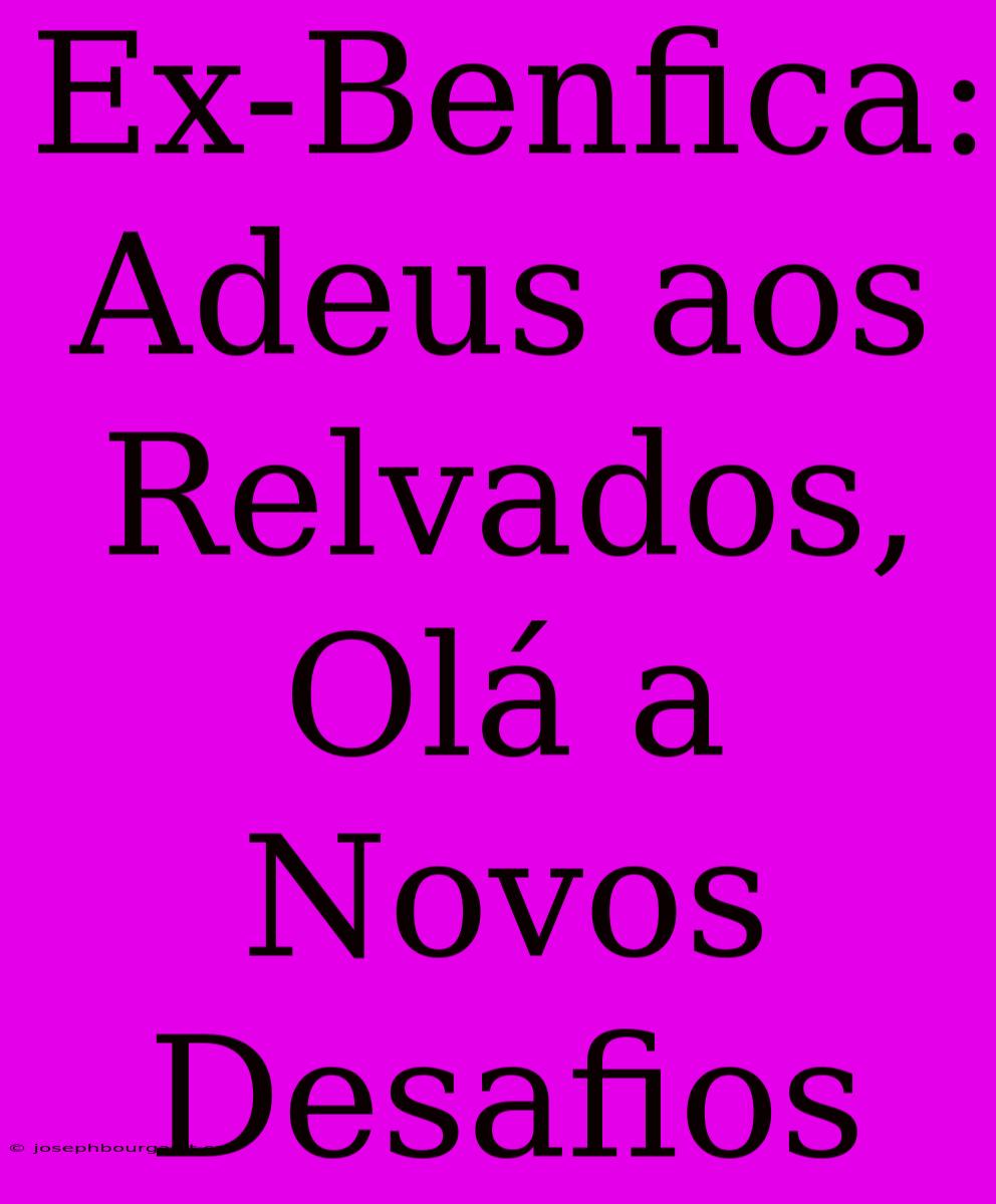 Ex-Benfica: Adeus Aos Relvados, Olá A Novos Desafios