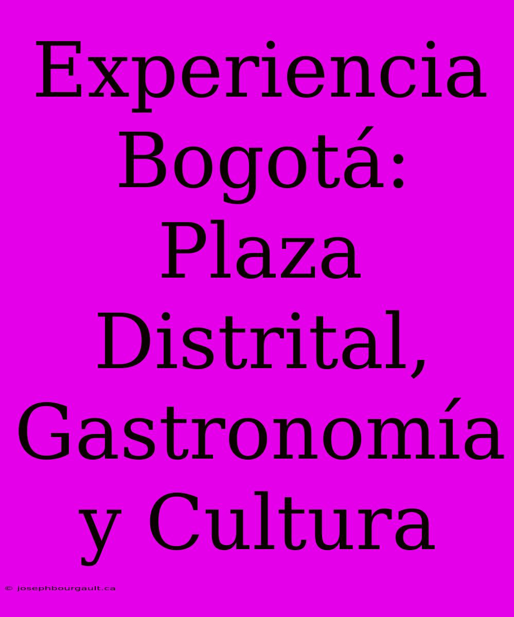 Experiencia Bogotá: Plaza Distrital, Gastronomía Y Cultura