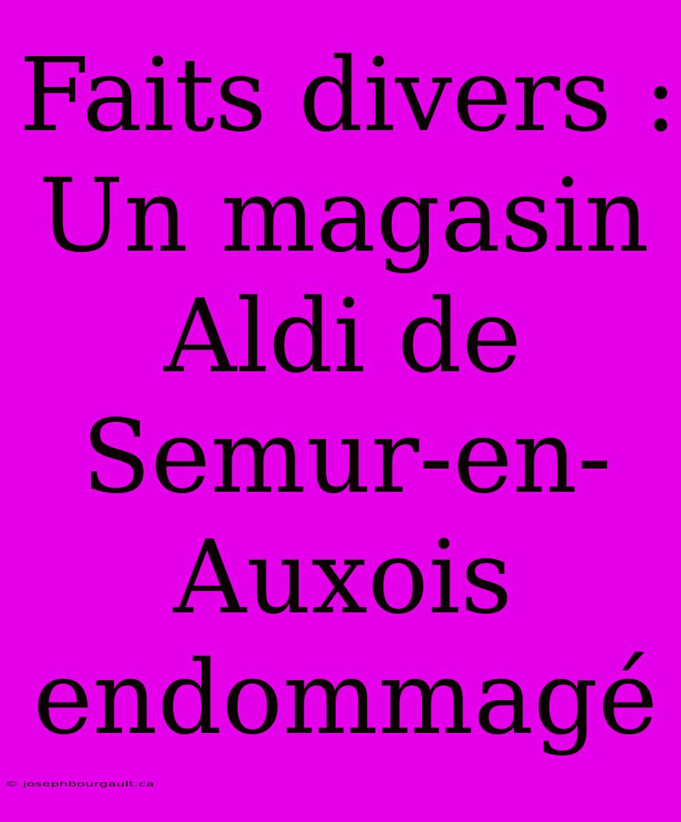 Faits Divers : Un Magasin Aldi De Semur-en-Auxois Endommagé