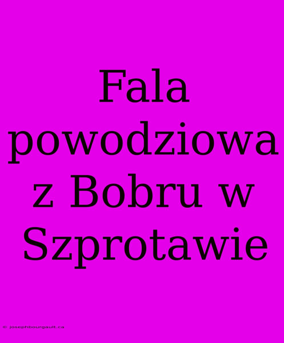 Fala Powodziowa Z Bobru W Szprotawie