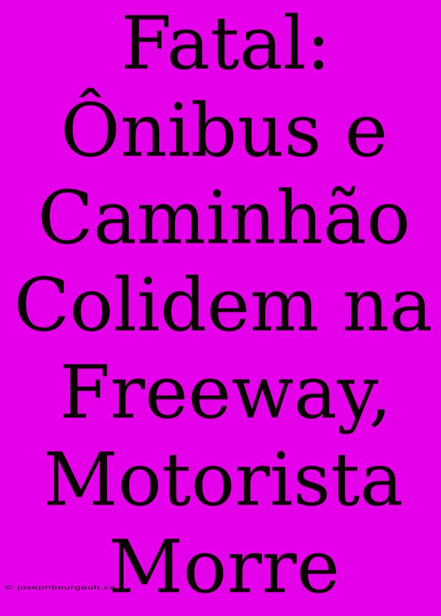 Fatal: Ônibus E Caminhão Colidem Na Freeway, Motorista Morre