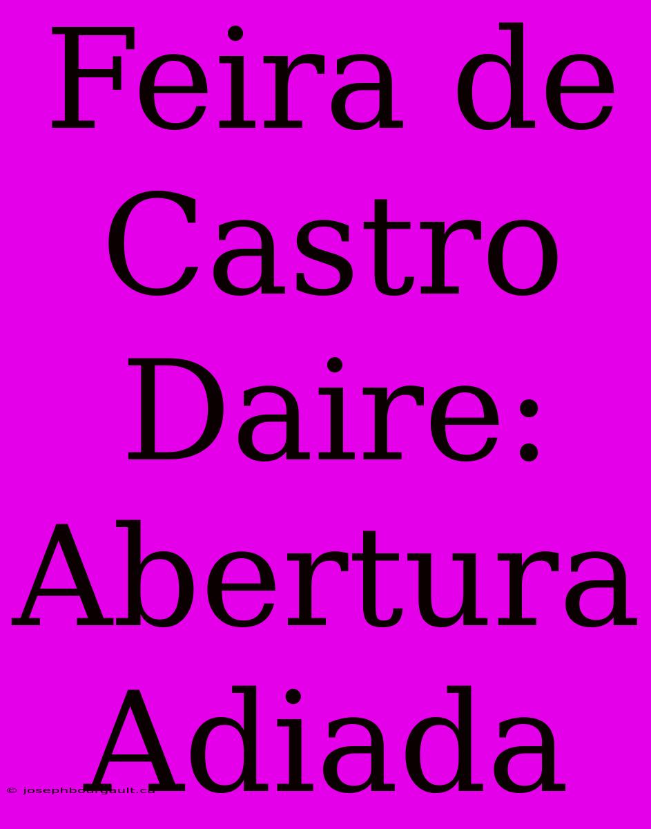 Feira De Castro Daire: Abertura Adiada