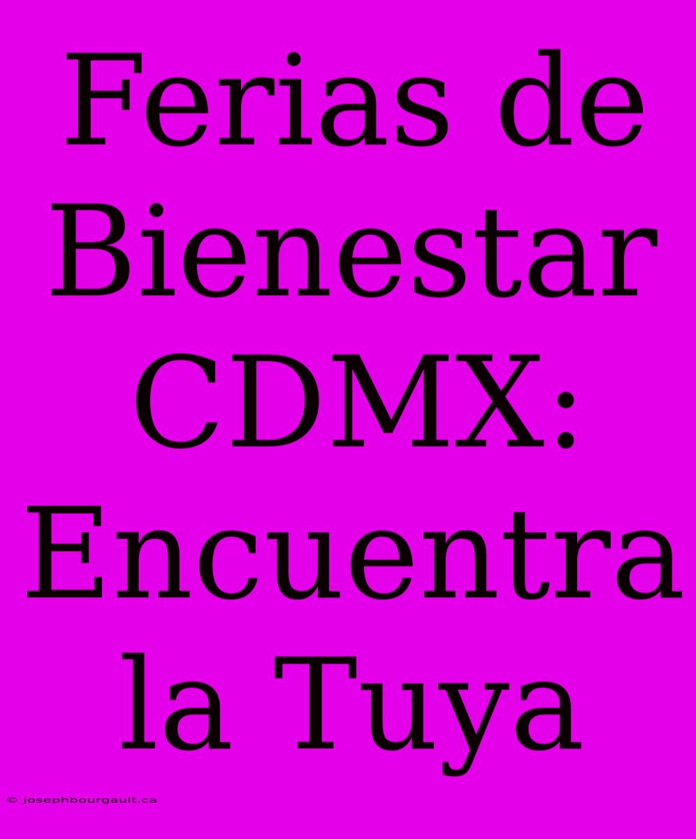 Ferias De Bienestar CDMX: Encuentra La Tuya