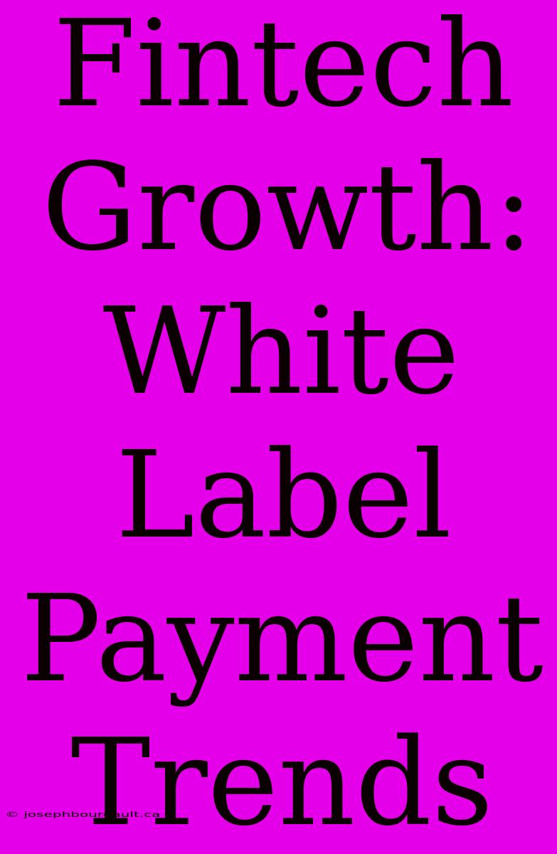 Fintech Growth: White Label Payment Trends