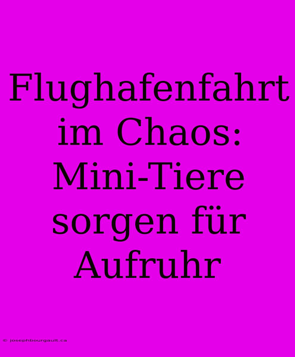 Flughafenfahrt Im Chaos: Mini-Tiere Sorgen Für Aufruhr