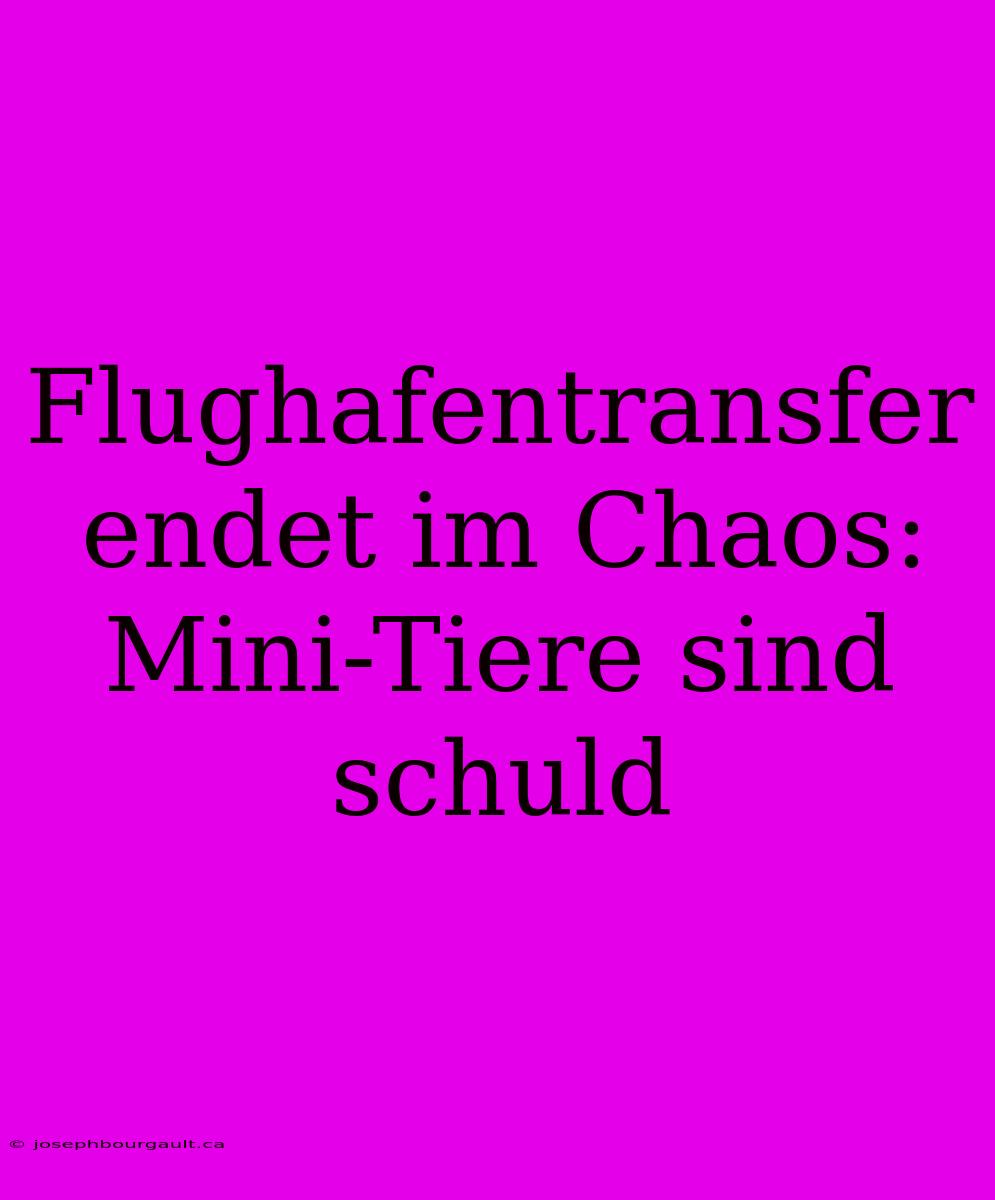 Flughafentransfer Endet Im Chaos: Mini-Tiere Sind Schuld