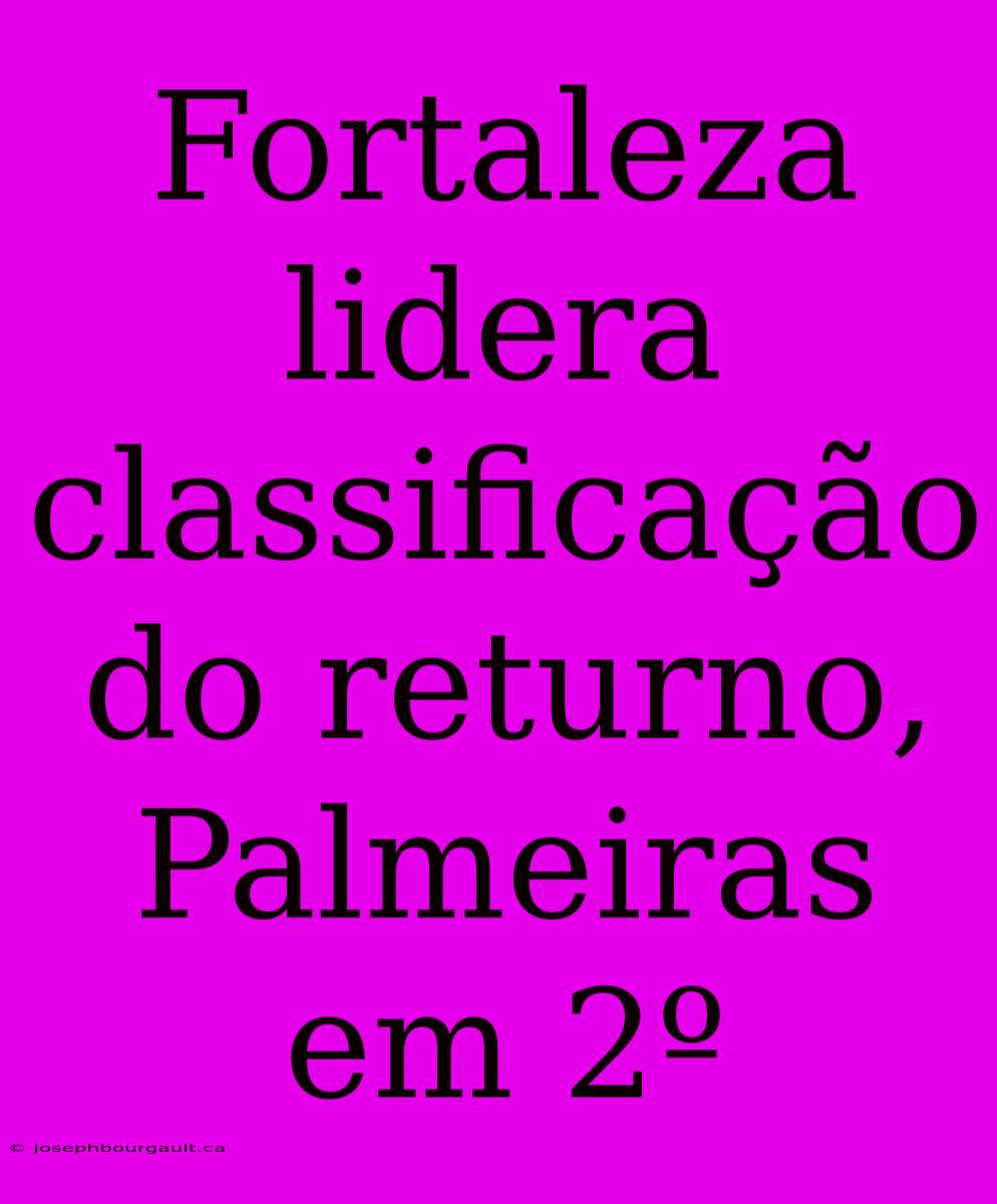 Fortaleza Lidera Classificação Do Returno, Palmeiras Em 2º