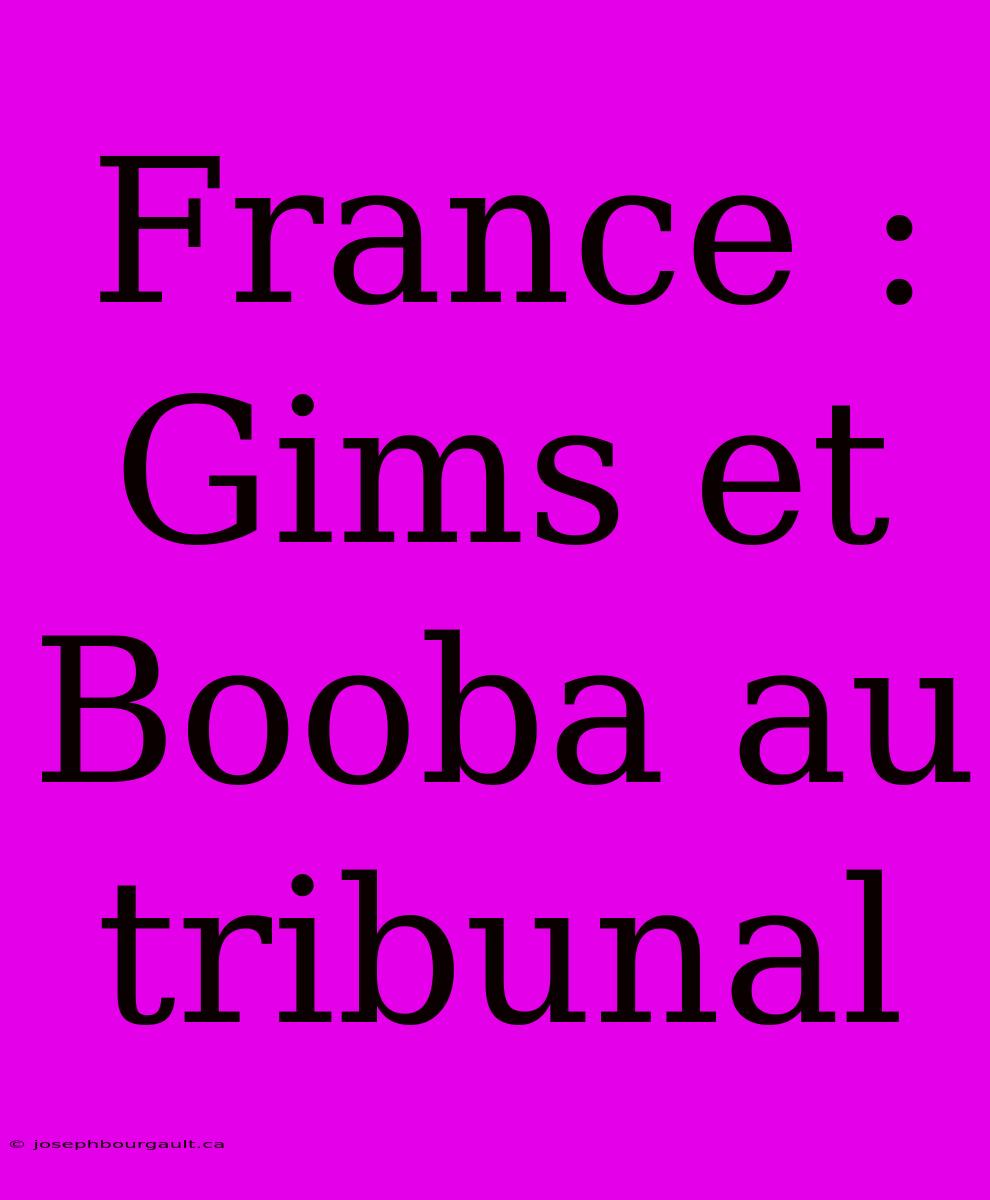 France : Gims Et Booba Au Tribunal