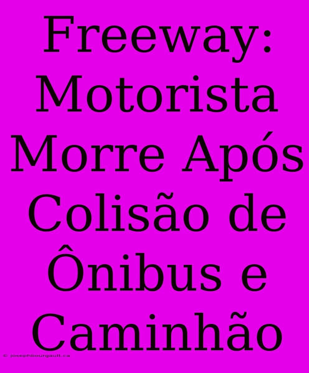 Freeway: Motorista Morre Após Colisão De Ônibus E Caminhão