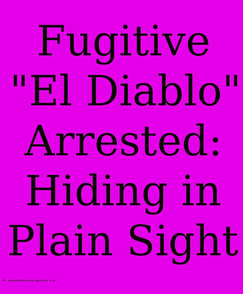 Fugitive 