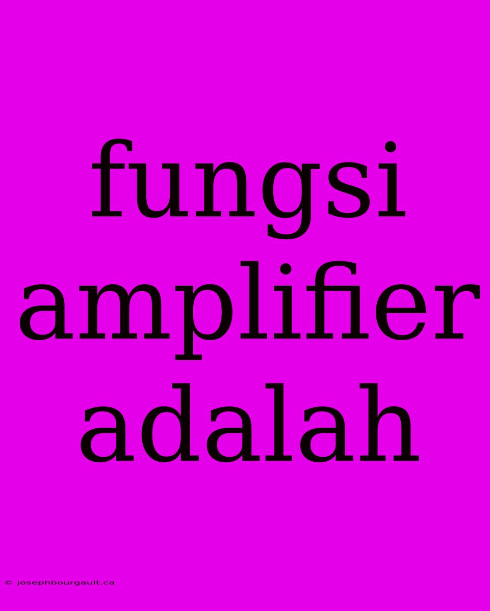 Fungsi Amplifier Adalah