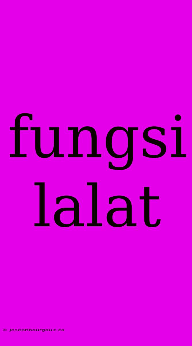 Fungsi Lalat