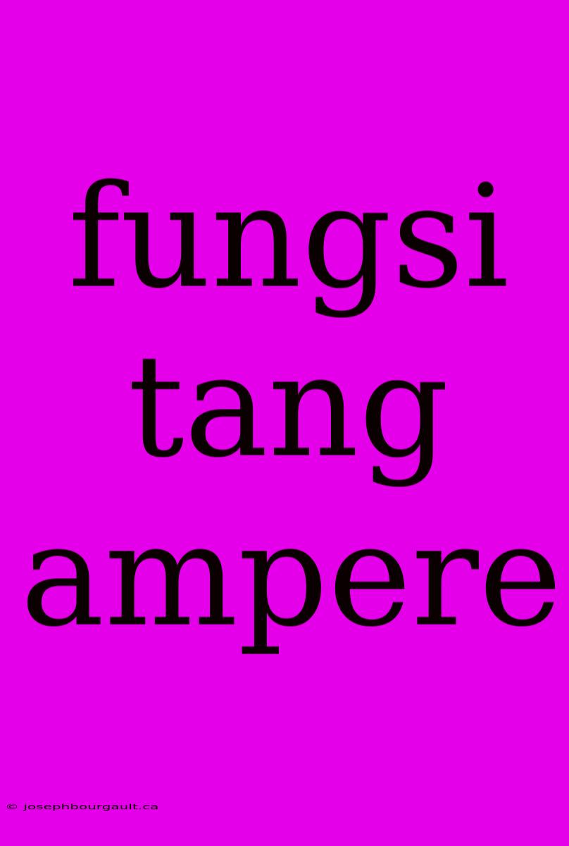 Fungsi Tang Ampere