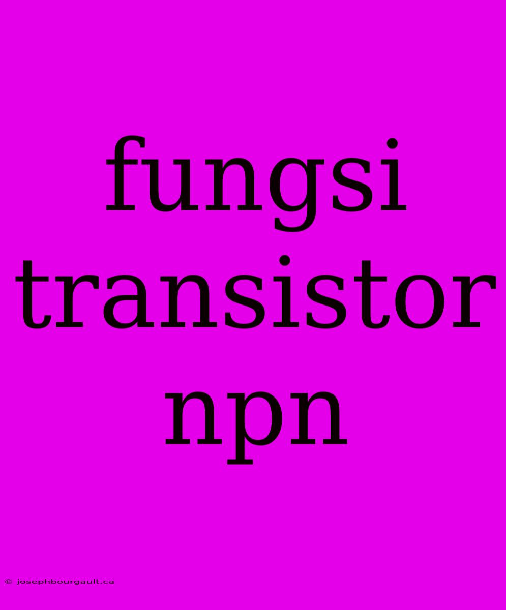 Fungsi Transistor Npn