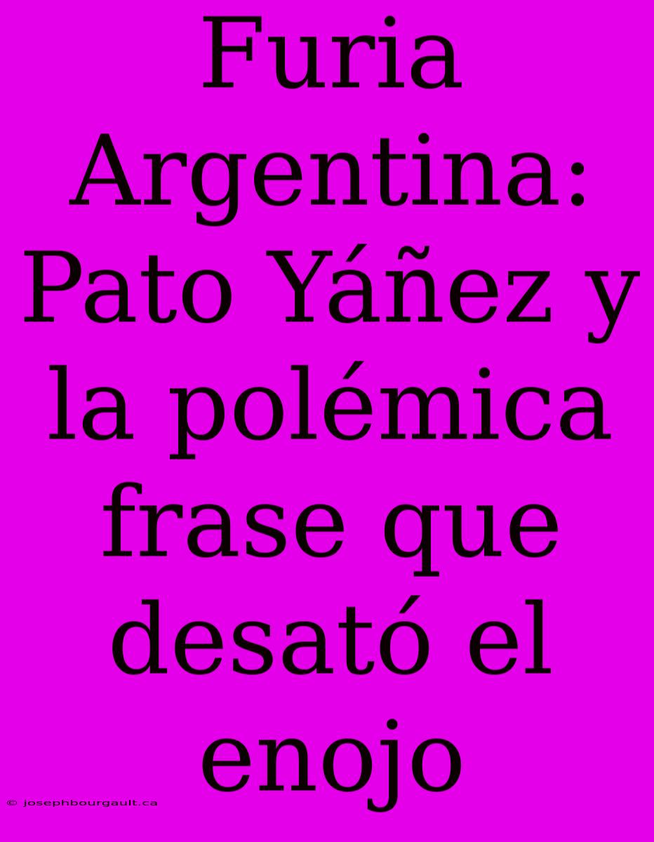 Furia Argentina: Pato Yáñez Y La Polémica Frase Que Desató El Enojo