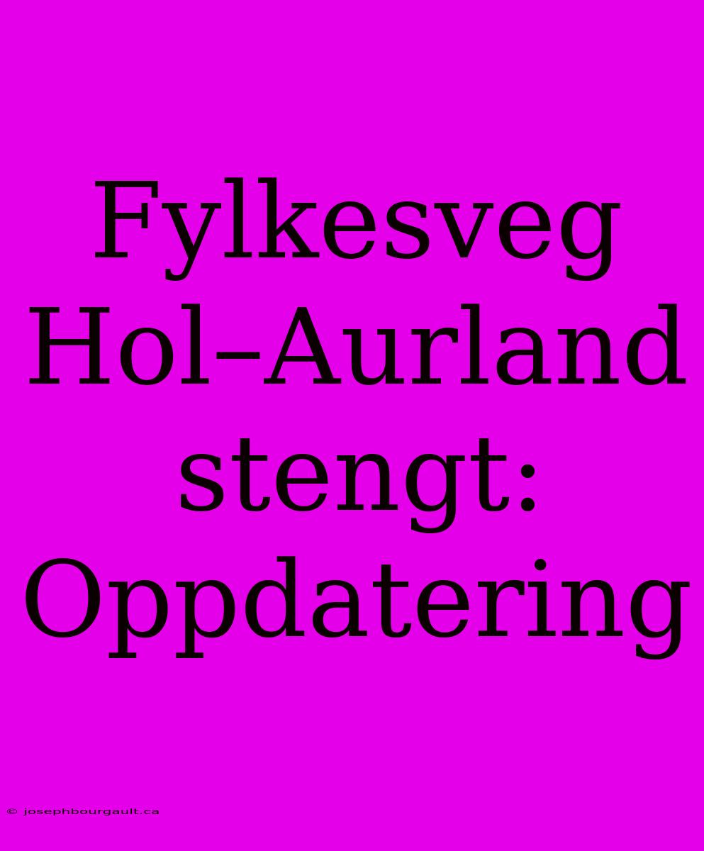 Fylkesveg Hol–Aurland Stengt:  Oppdatering