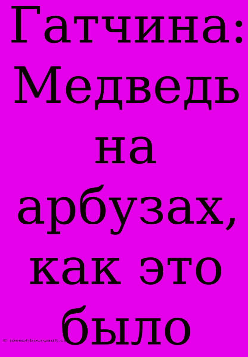 Гатчина: Медведь На Арбузах, Как Это Было