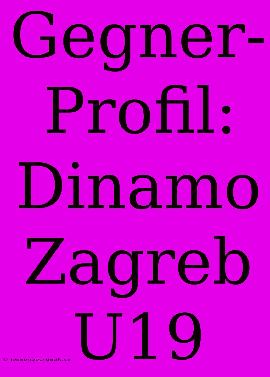 Gegner-Profil: Dinamo Zagreb U19