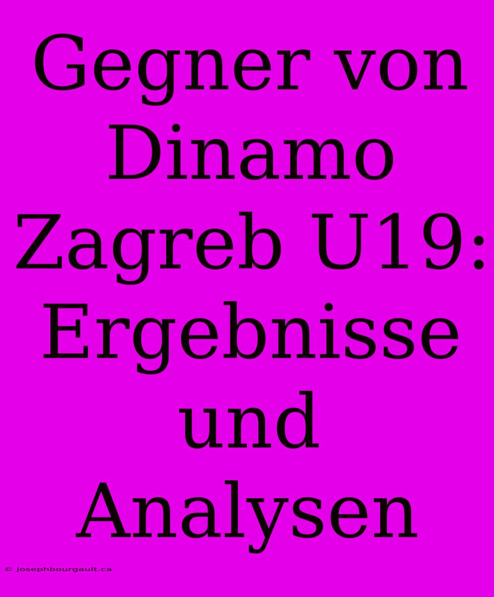 Gegner Von Dinamo Zagreb U19: Ergebnisse Und Analysen