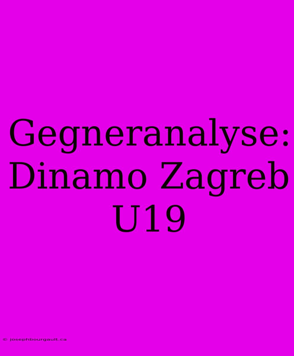 Gegneranalyse: Dinamo Zagreb U19