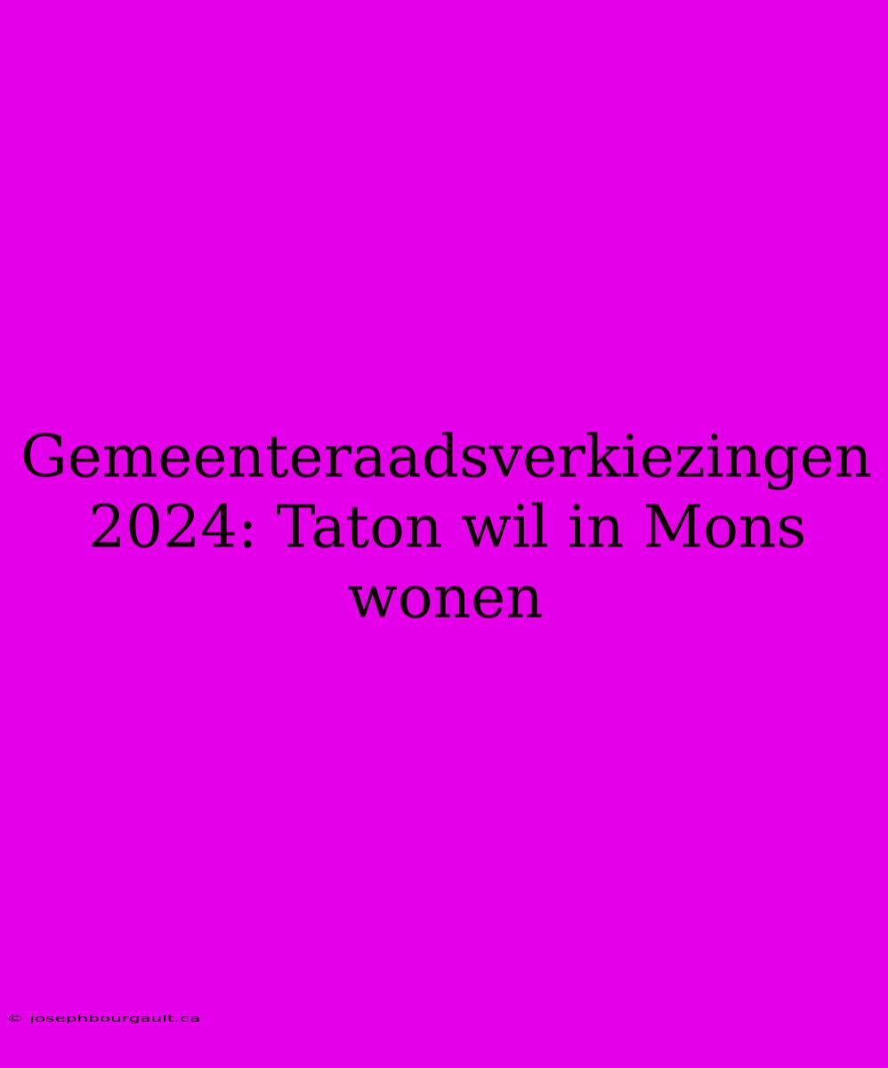 Gemeenteraadsverkiezingen 2024: Taton Wil In Mons Wonen