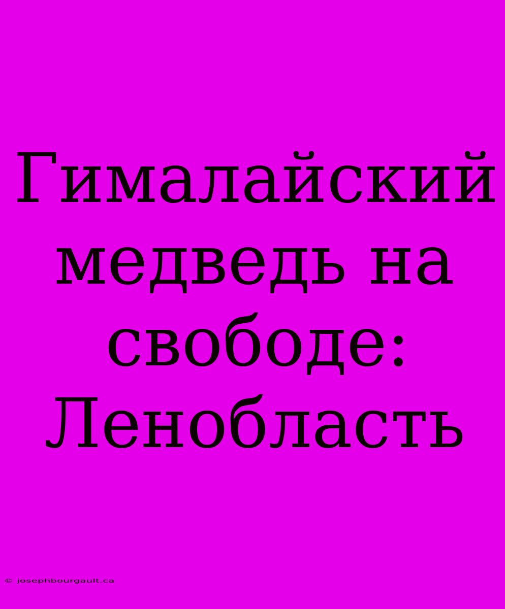 Гималайский Медведь На Свободе: Ленобласть