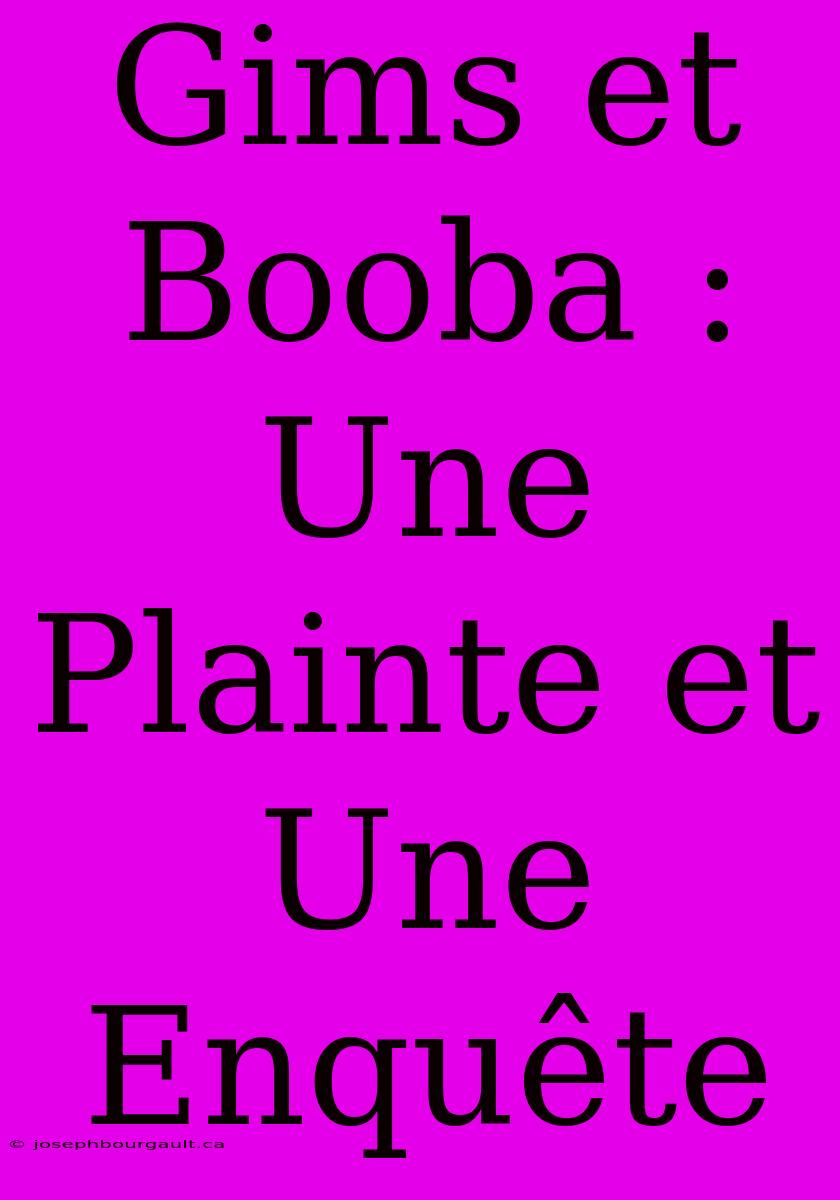 Gims Et Booba : Une Plainte Et Une Enquête