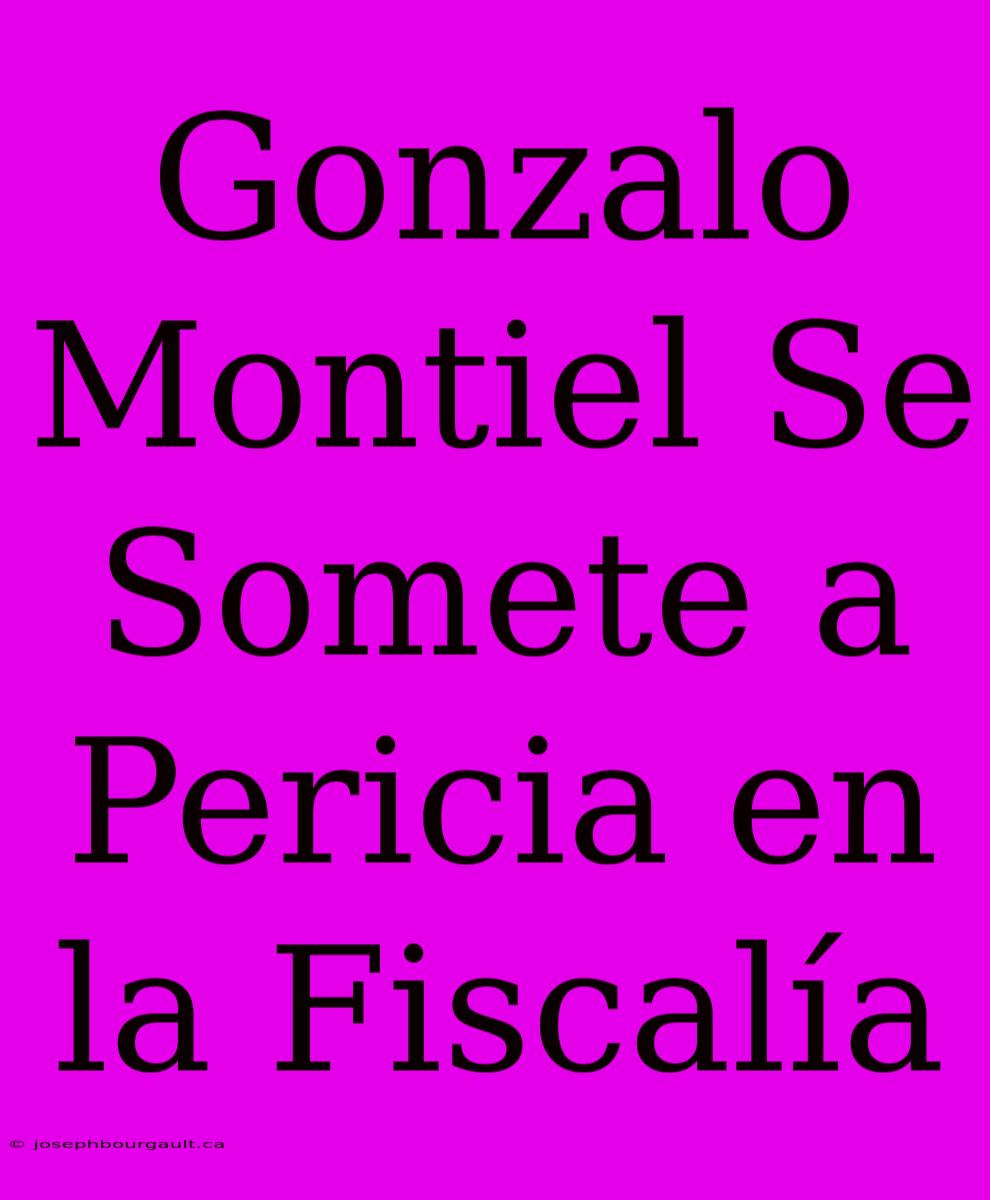 Gonzalo Montiel Se Somete A Pericia En La Fiscalía