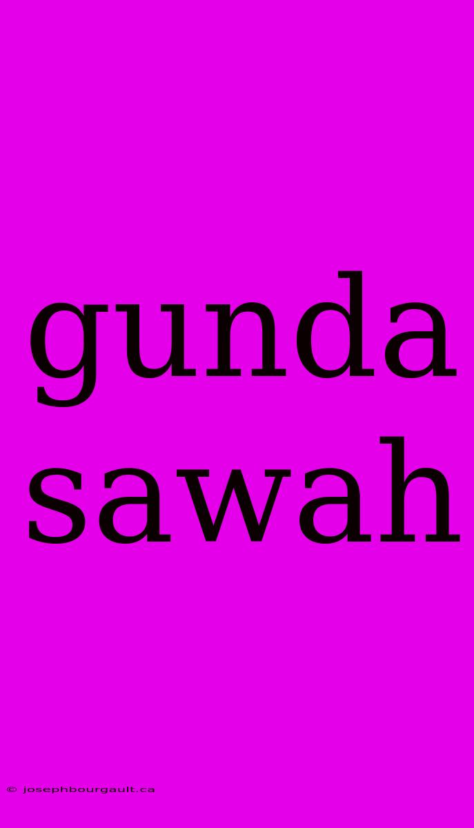 Gunda Sawah