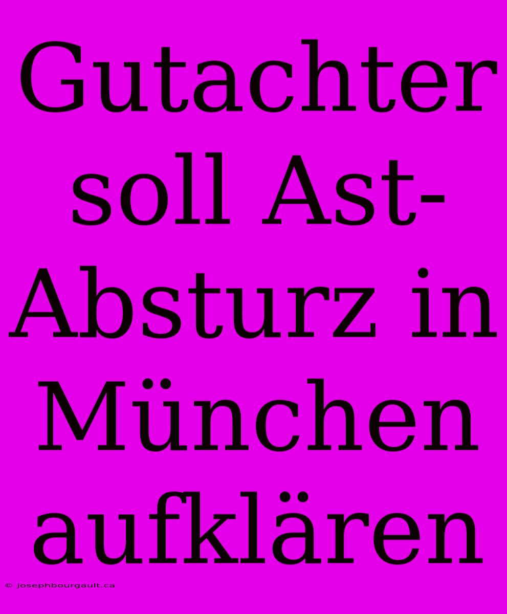 Gutachter Soll Ast-Absturz In München Aufklären