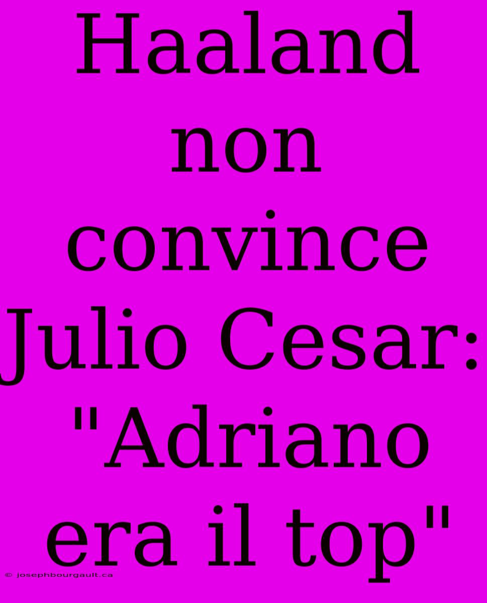 Haaland Non Convince Julio Cesar: 