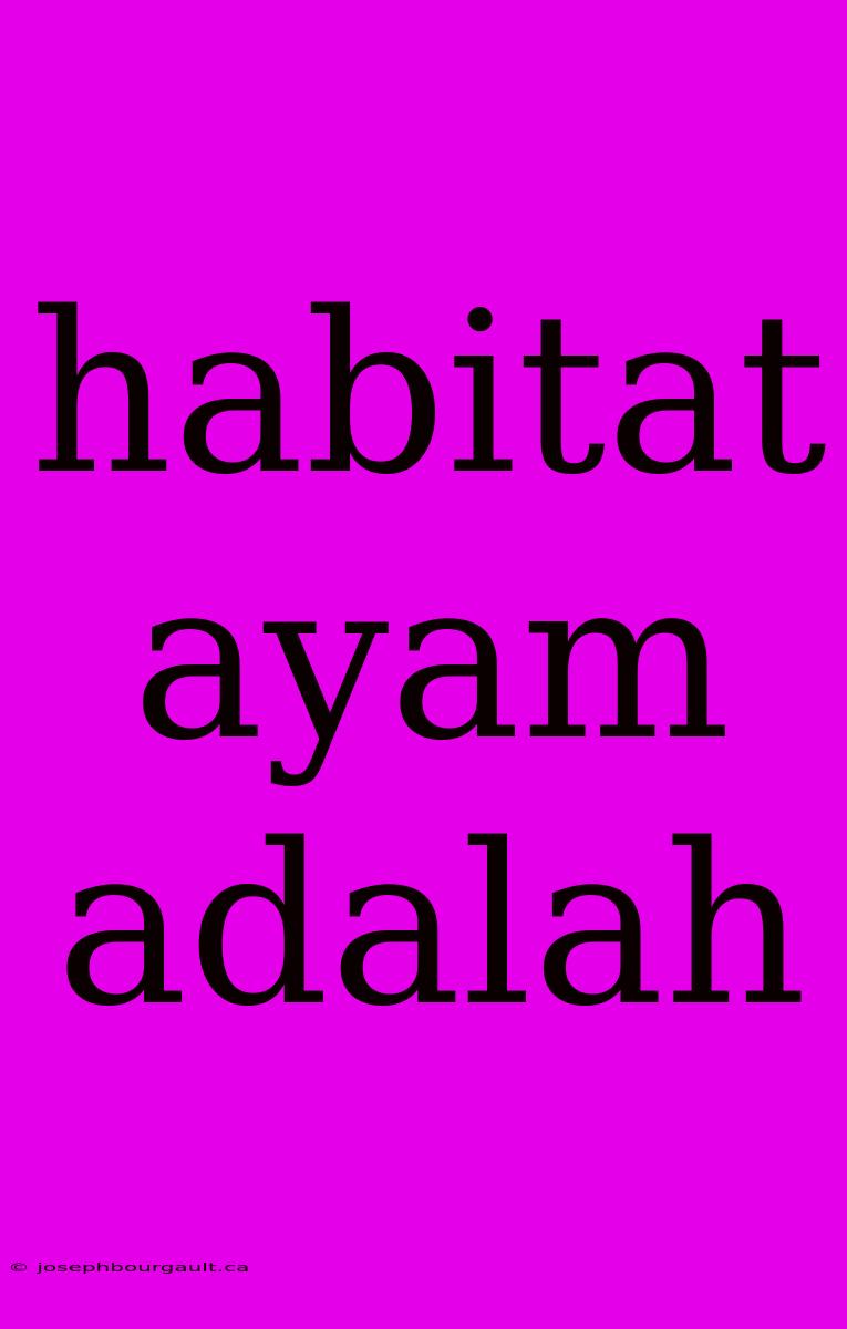 Habitat Ayam Adalah