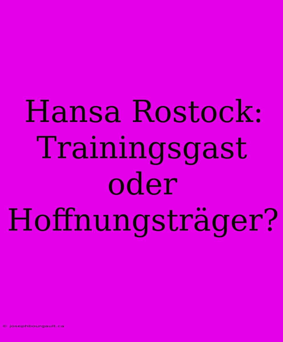 Hansa Rostock: Trainingsgast Oder Hoffnungsträger?